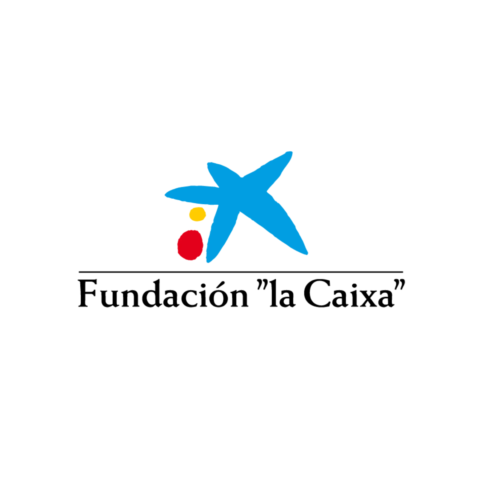 Logo Fundacion la caixa